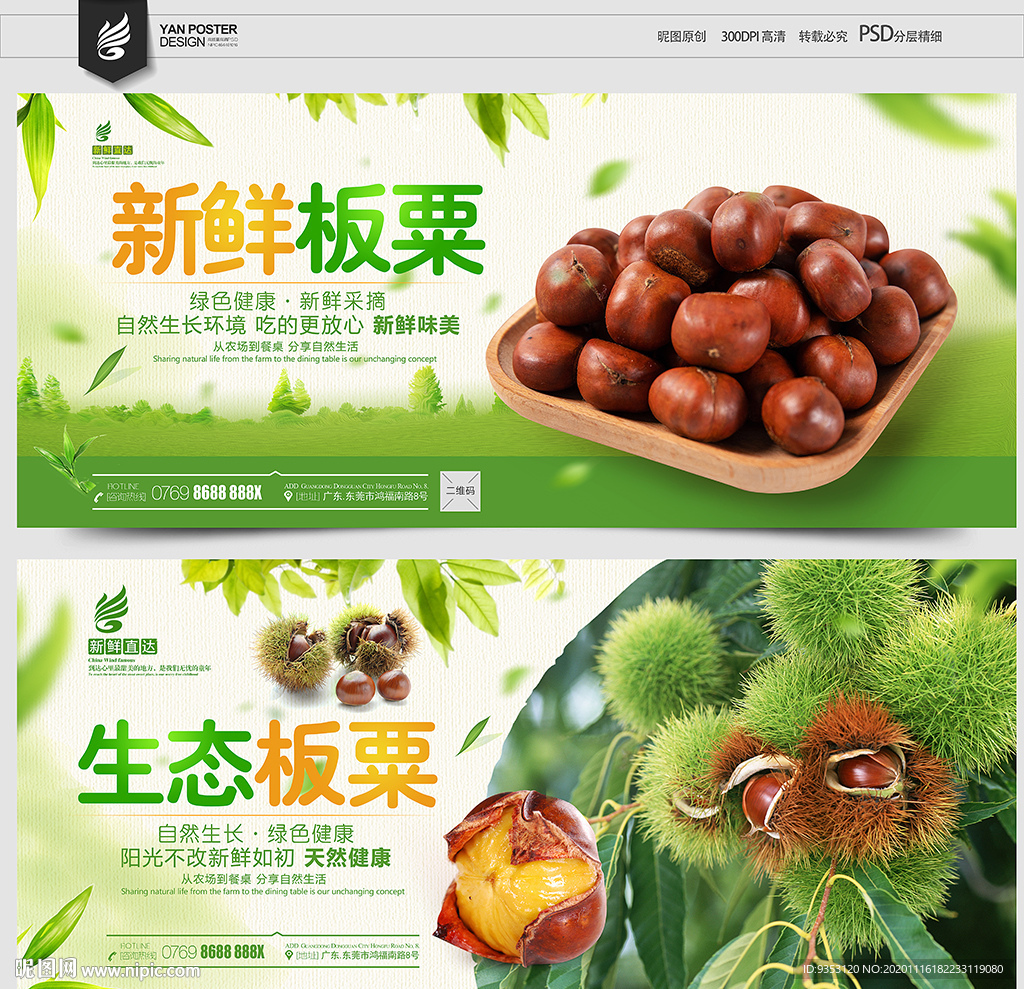 板粟