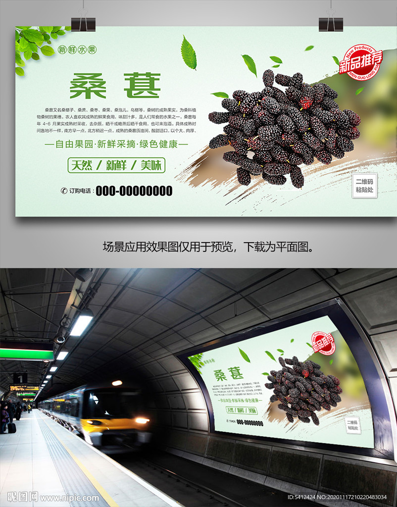桑葚展板灯箱海报单页挂画展架
