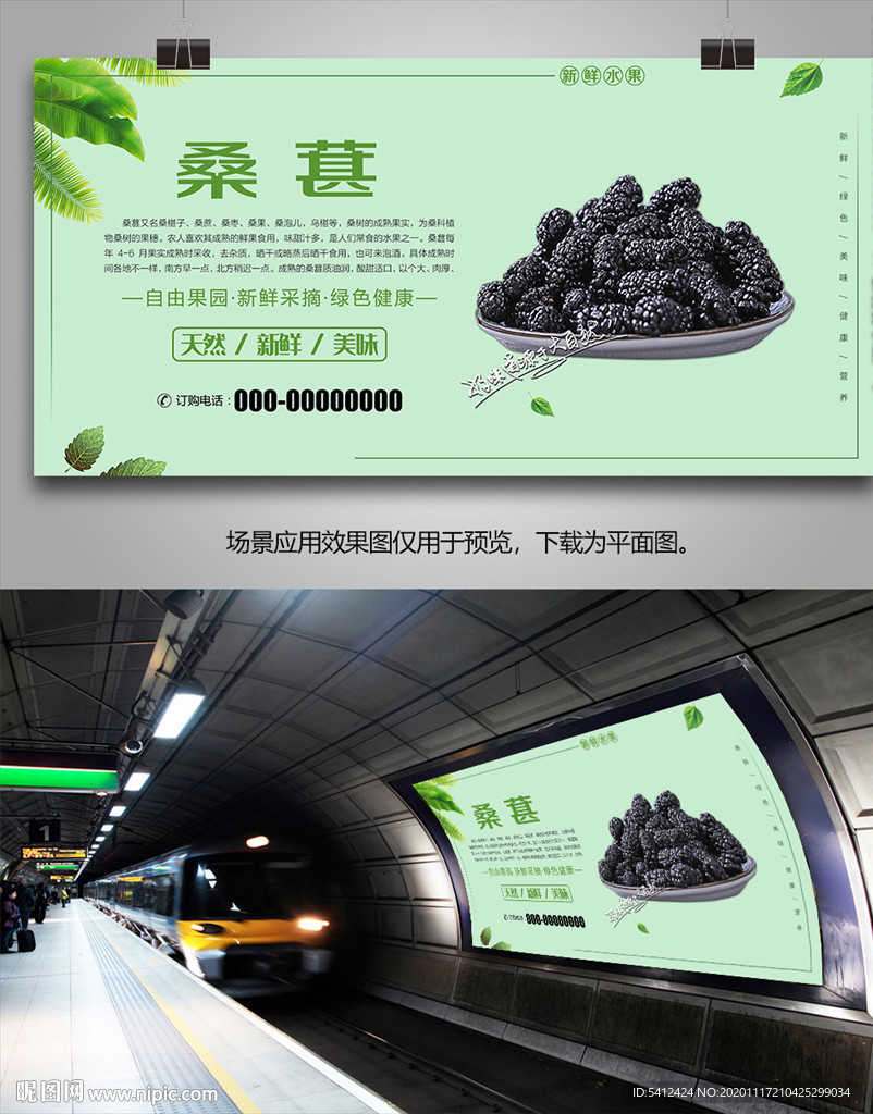 桑葚挂画展架单页易拉宝海报灯箱
