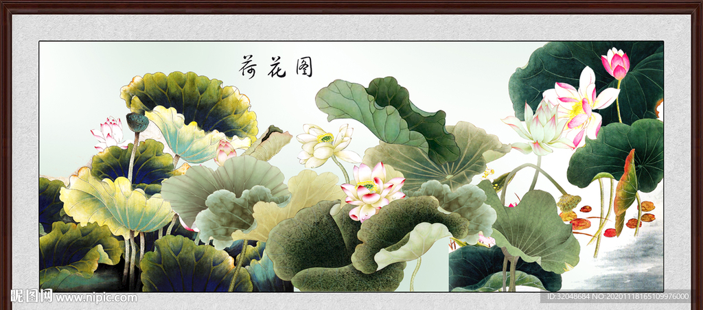 荷花