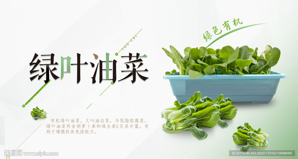 绿叶油菜 油菜高清图 油菜简介