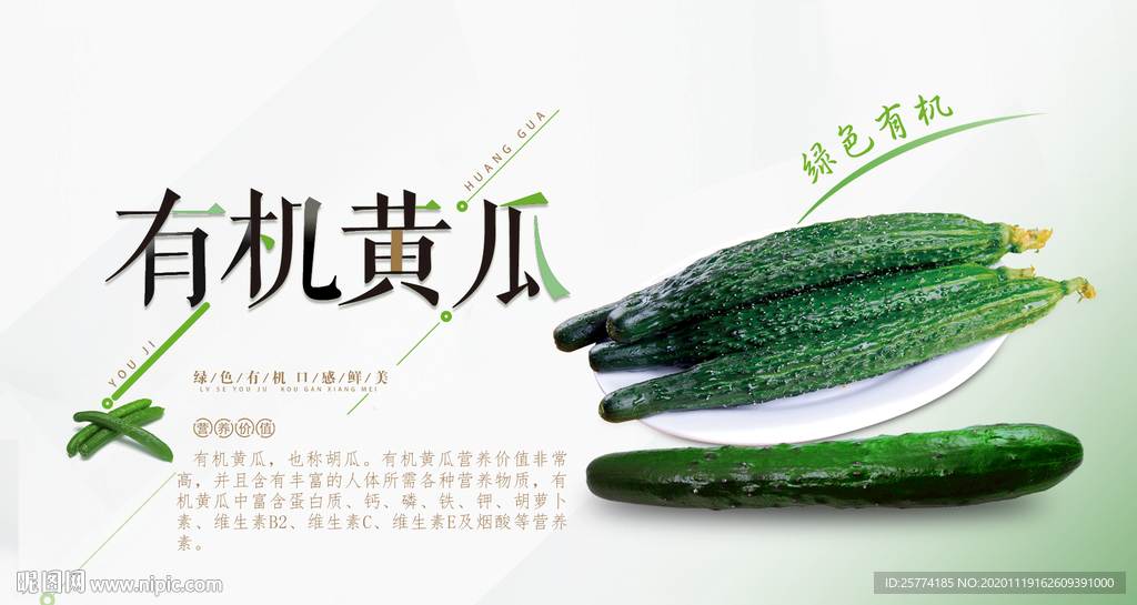 有机黄瓜 黄瓜高清图 黄瓜简介