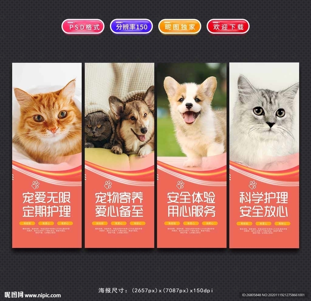 宠物店