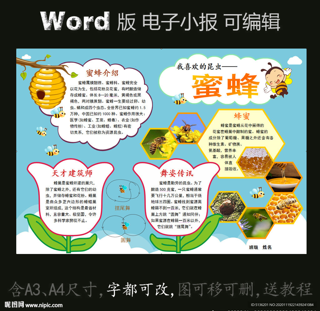 word版动物电子小报昆虫蜜蜂