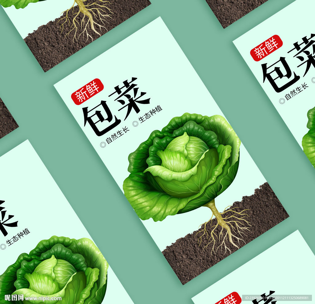 蔬菜海报