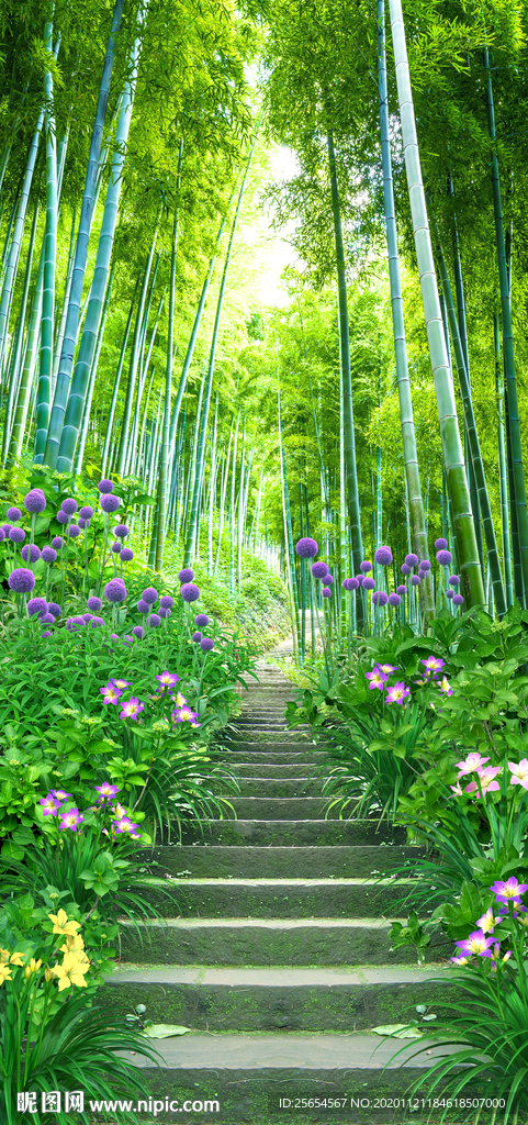 清新竹林小路古道玄关