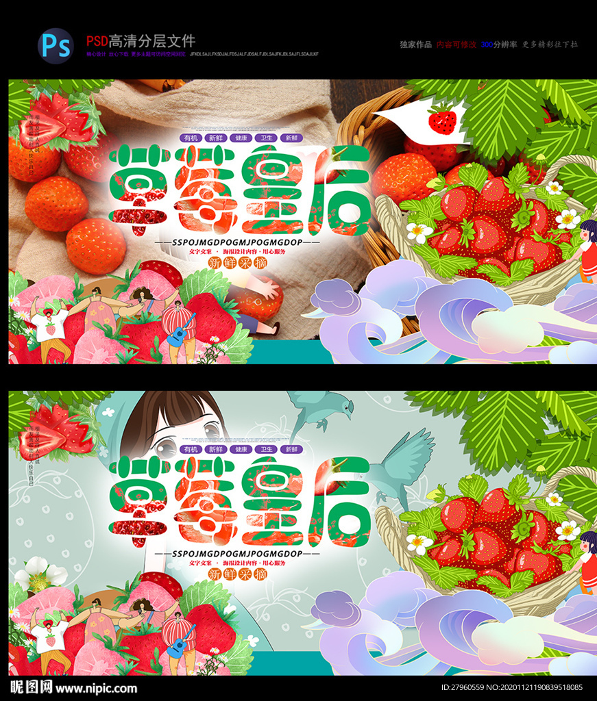 草莓采摘 新鲜草莓