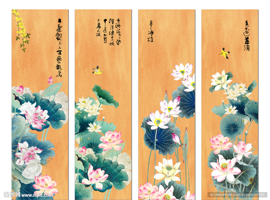 国画荷花