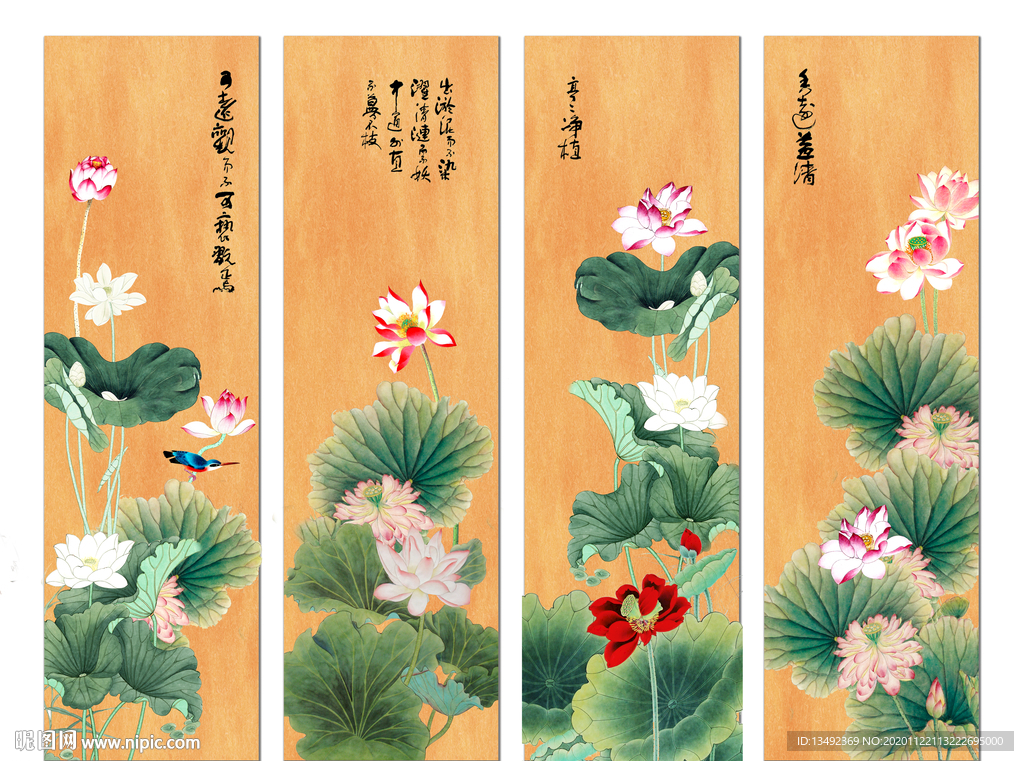 国画荷花