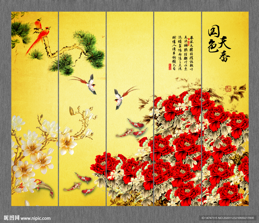 红牡丹