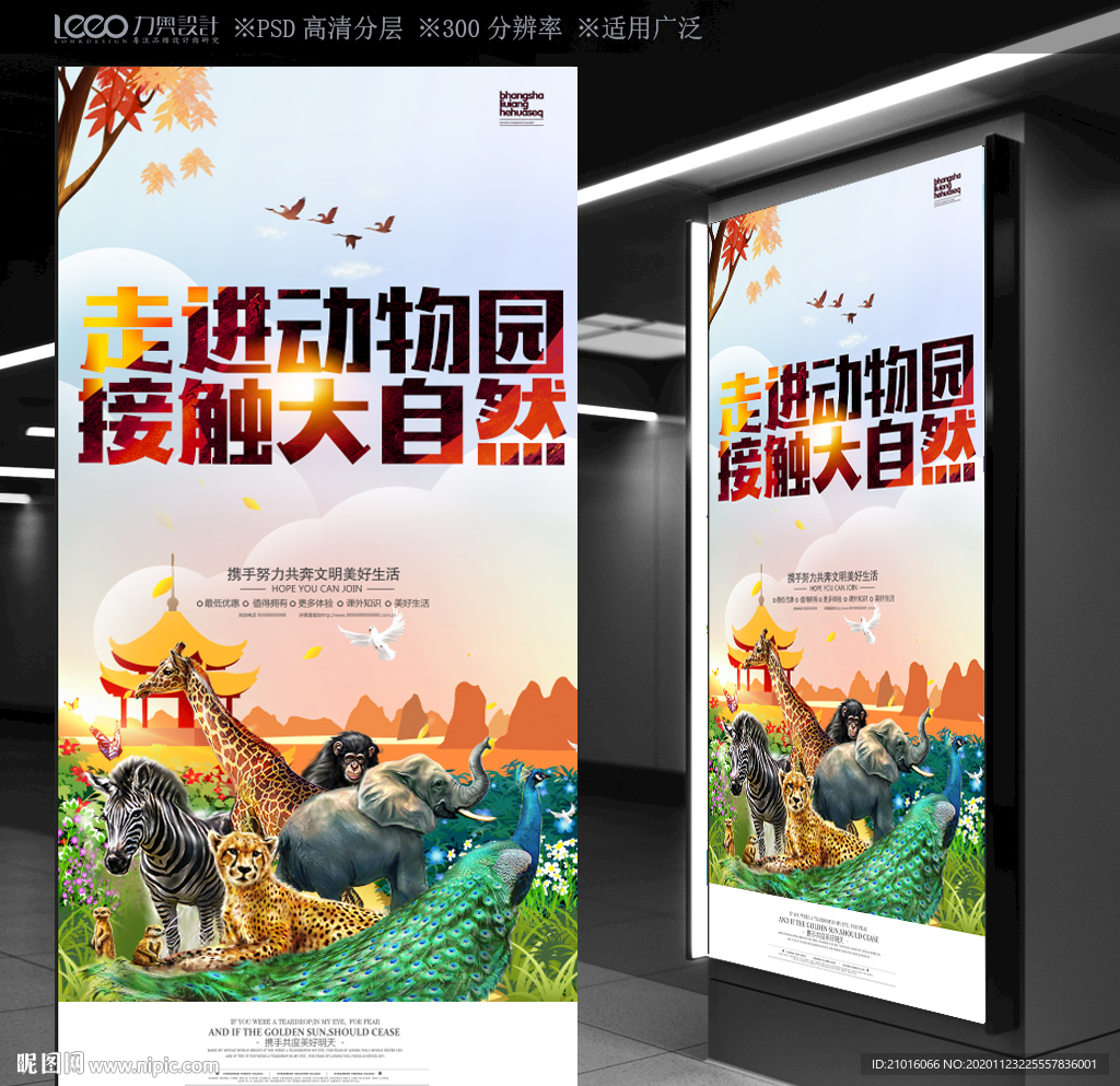 动物园