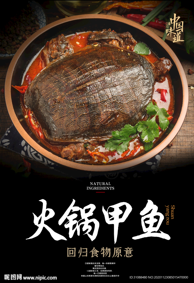 火锅甲鱼海报