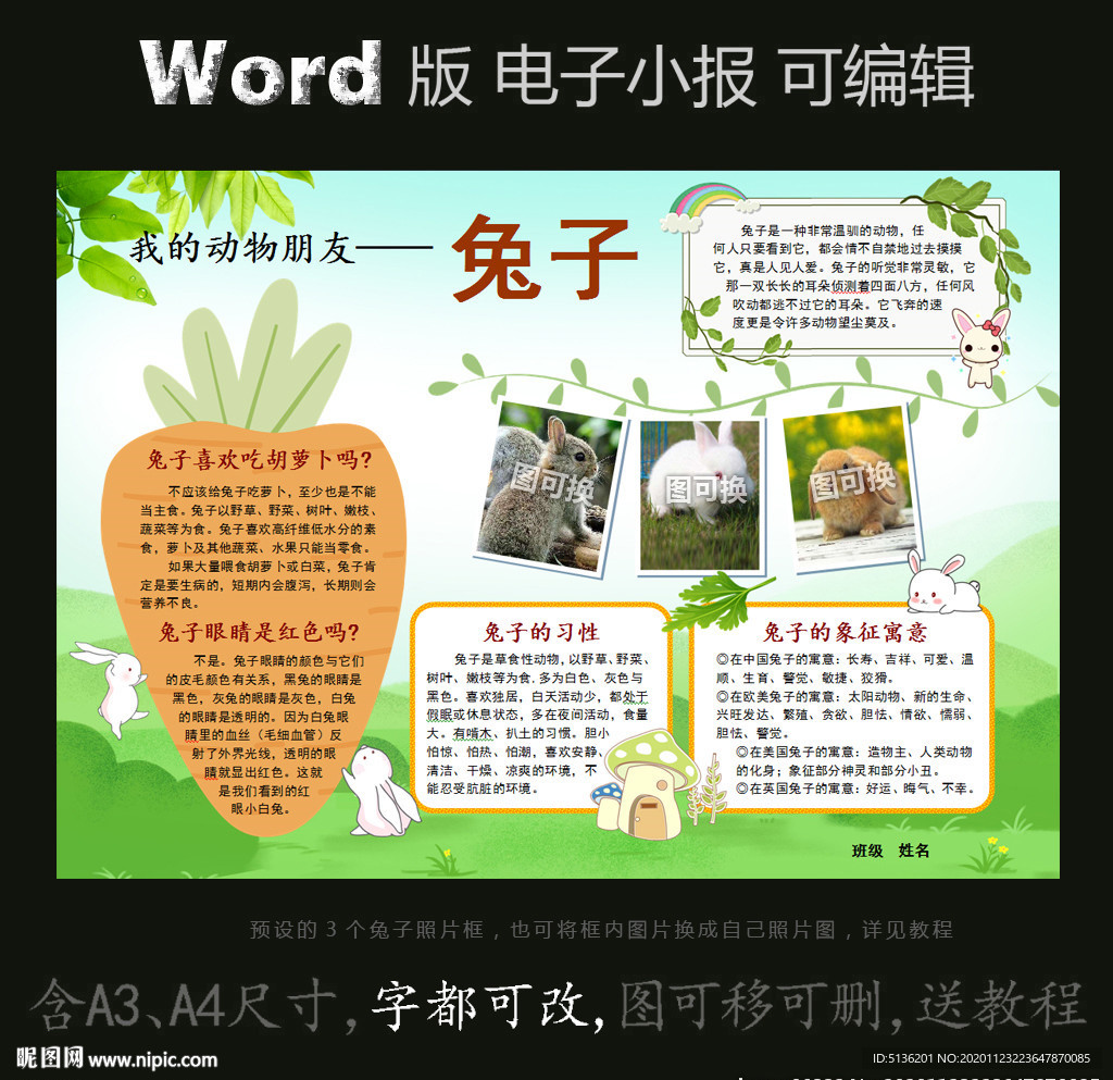 word版电子小报动物朋友兔子