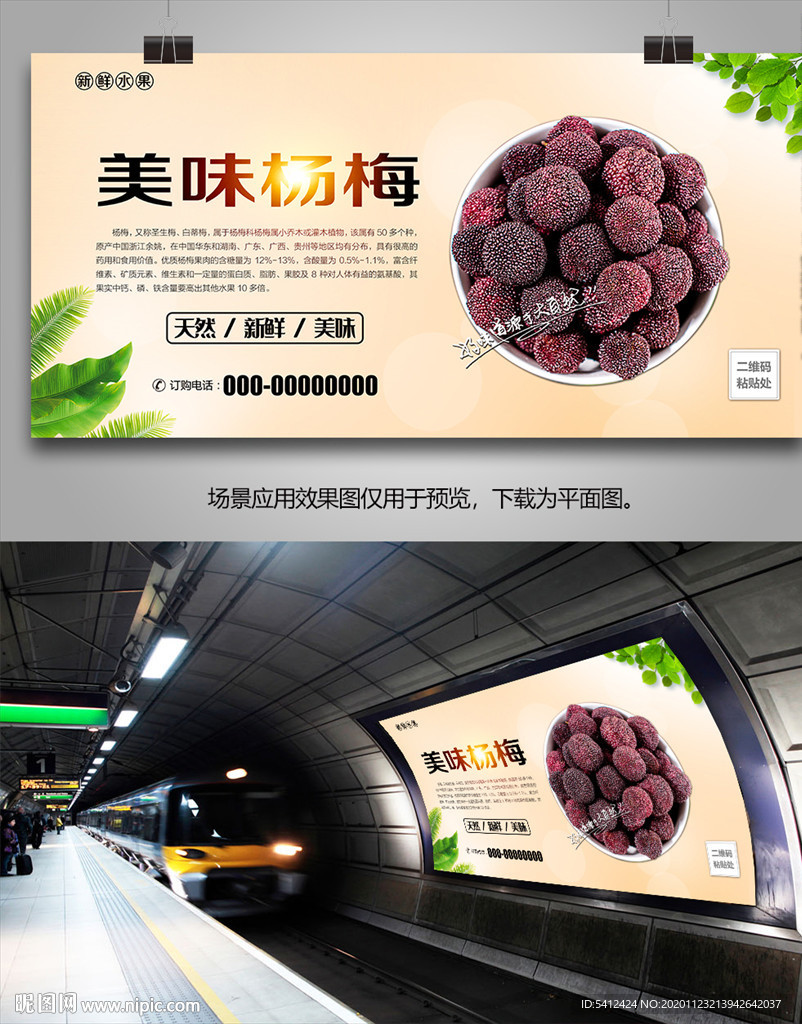 杨梅单页展架易拉宝展板灯箱挂画