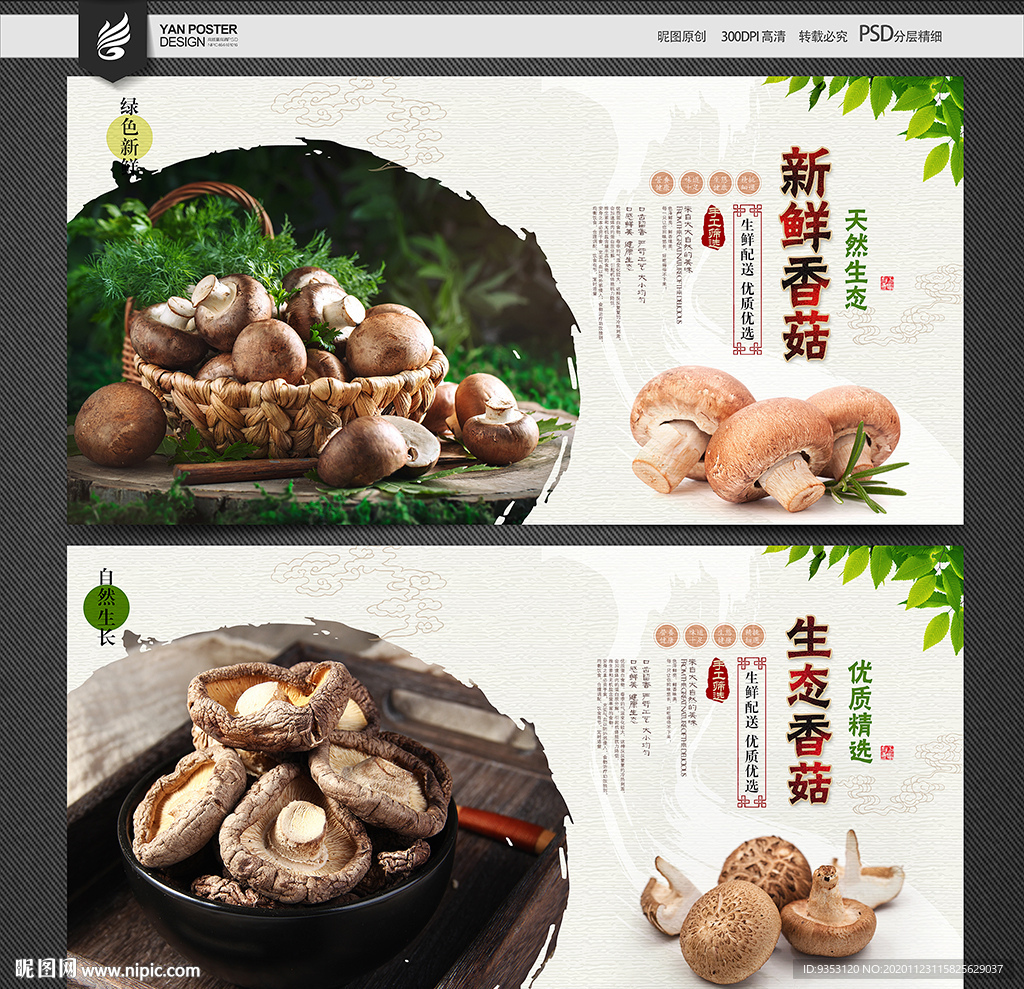 香菇