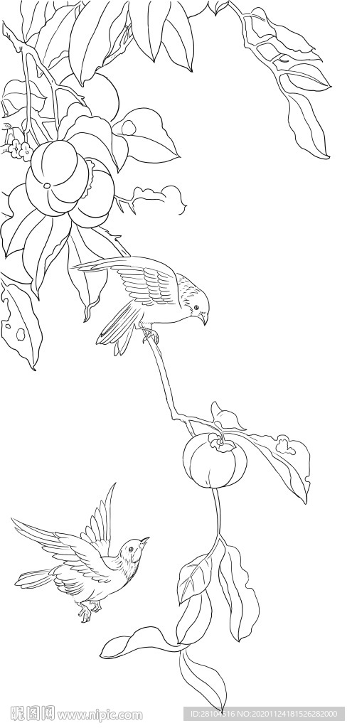 花鸟图