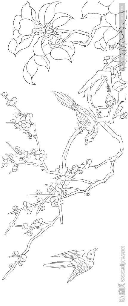 花鸟图