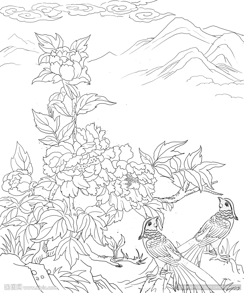花鸟
