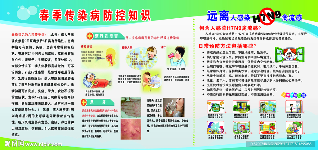 春季传染病禽流感.
