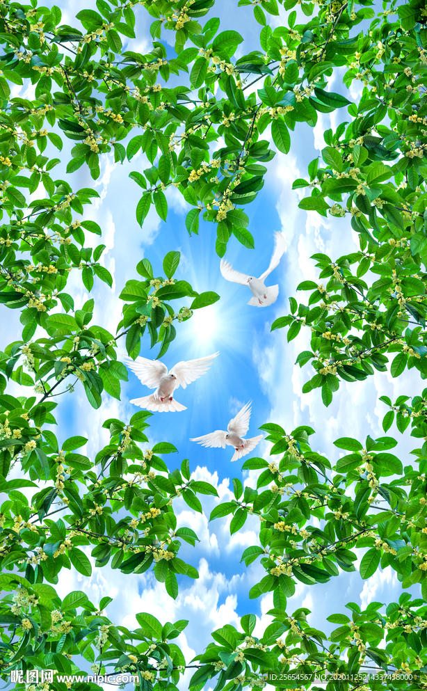 树叶天空云彩天顶地画壁画背景墙
