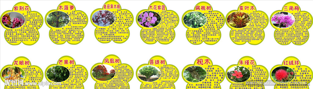 花木简介