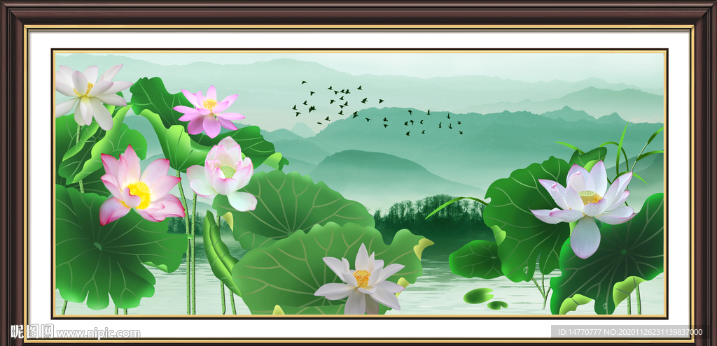 荷花