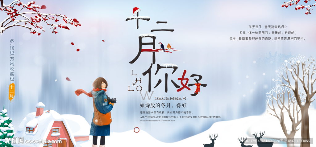 十二月你好