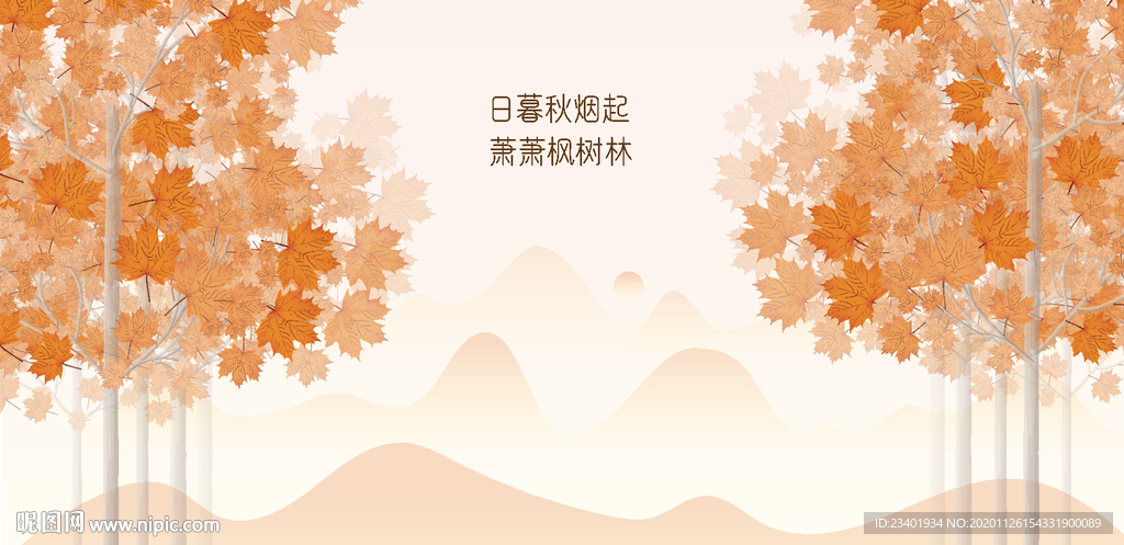 橘色橙色枫树林日落枫叶
