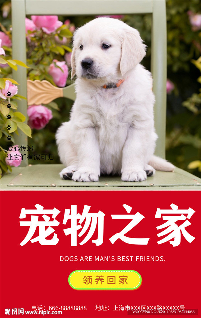 宠物