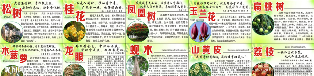 花木简介
