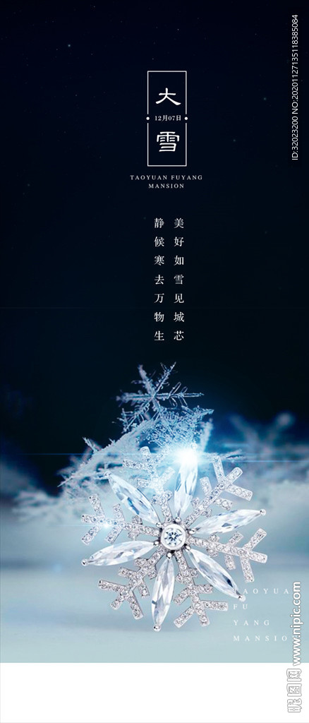 深色大气水晶雪花大雪节气海报
