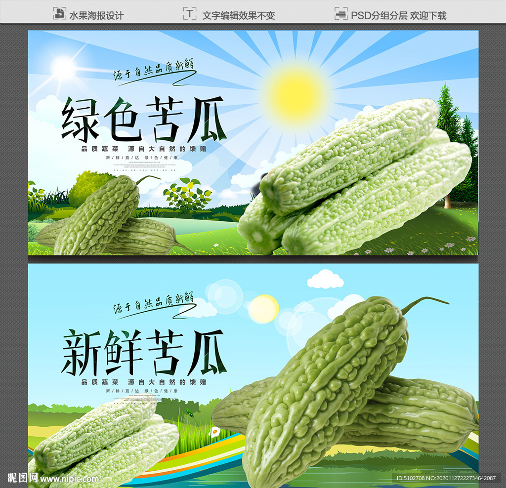 苦瓜