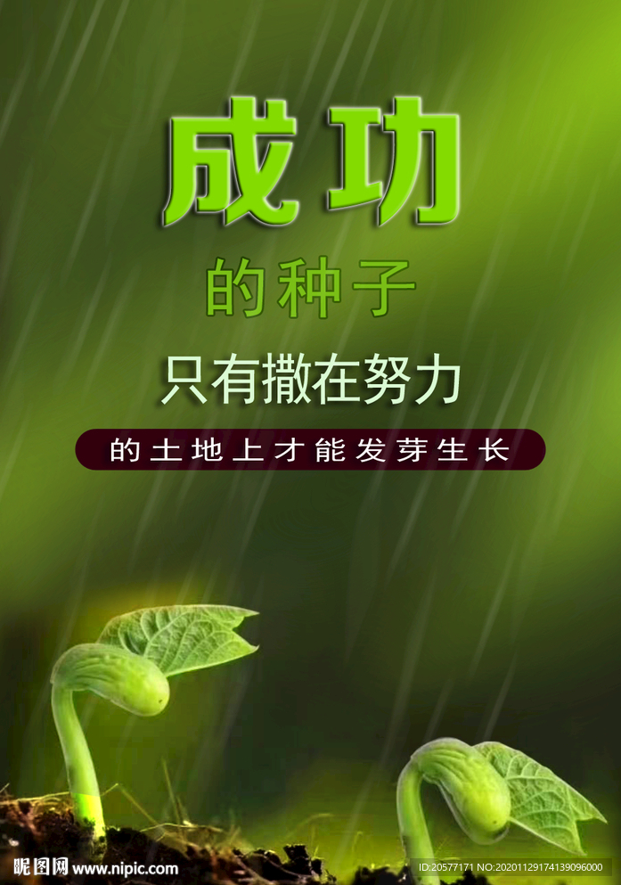 成功的种子