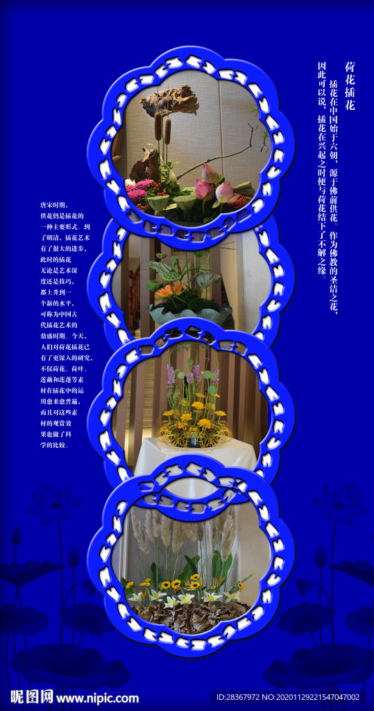 荷花 莲花