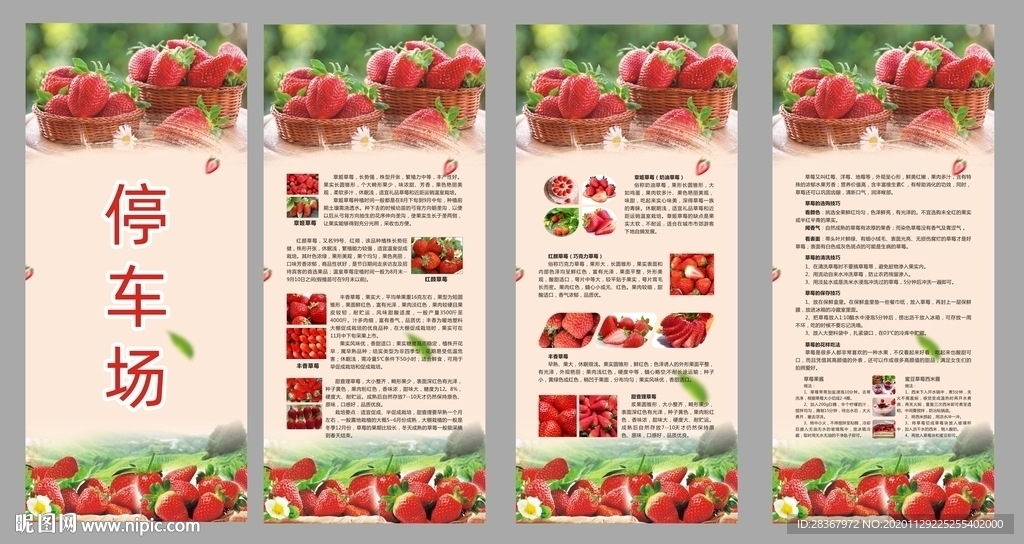 草莓展架