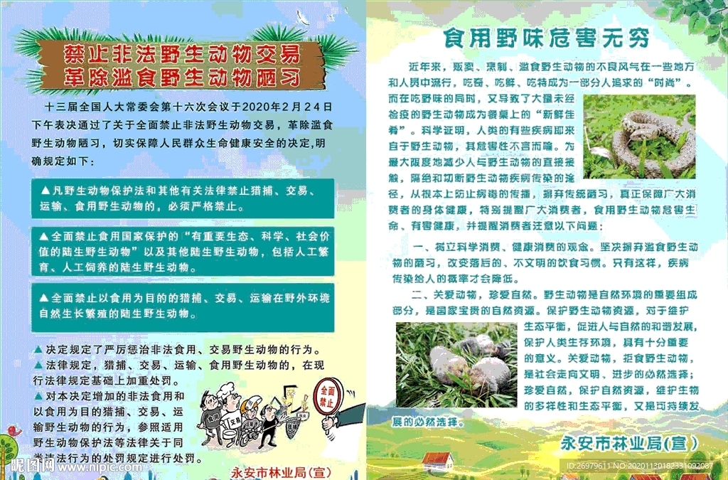 保护野生动物