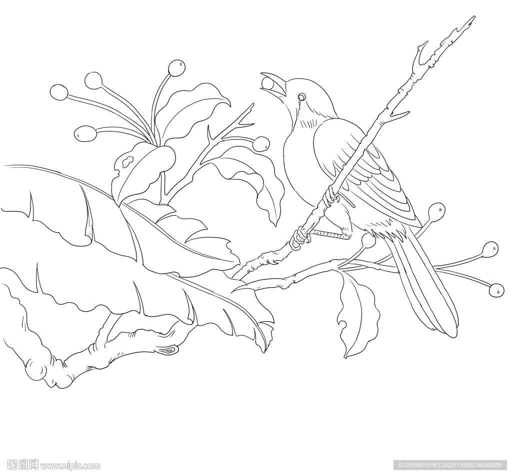 花鸟