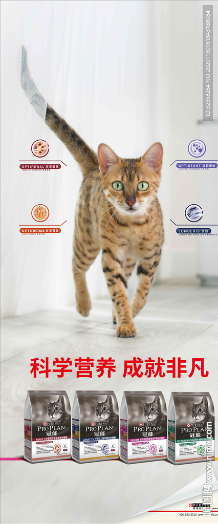 猫粮海报