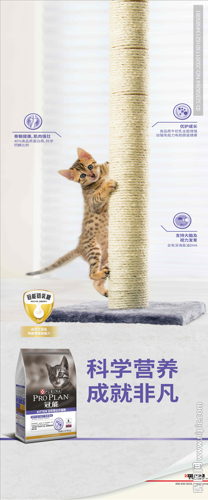 猫粮海报