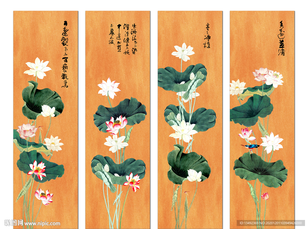 荷花国画