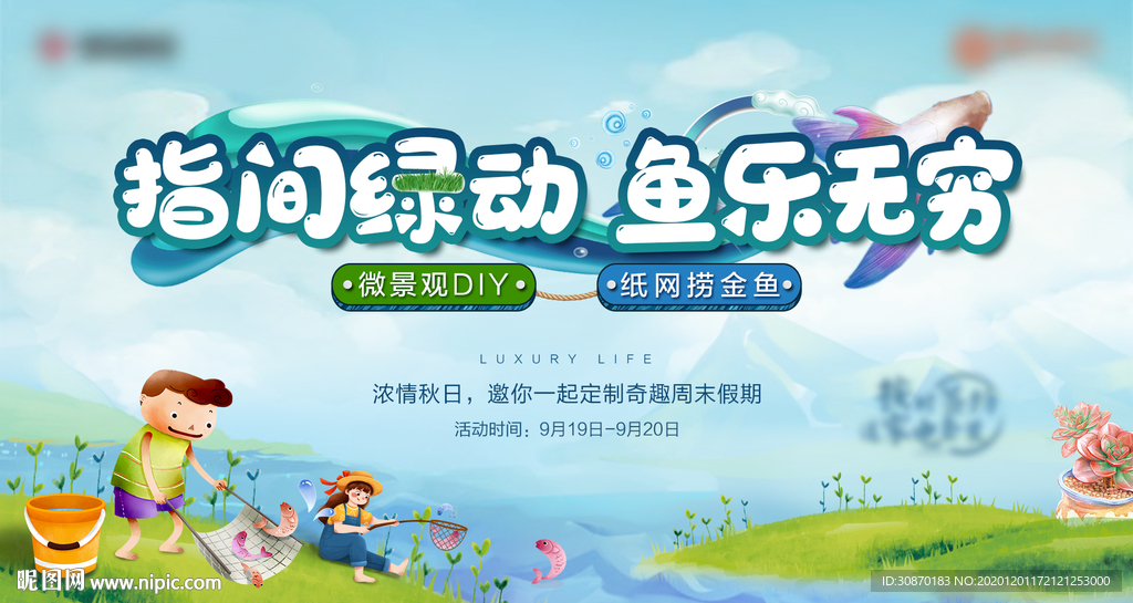 金鱼