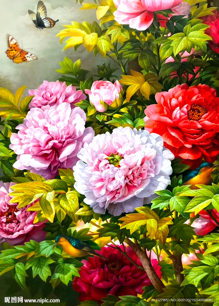 牡丹花卉油画
