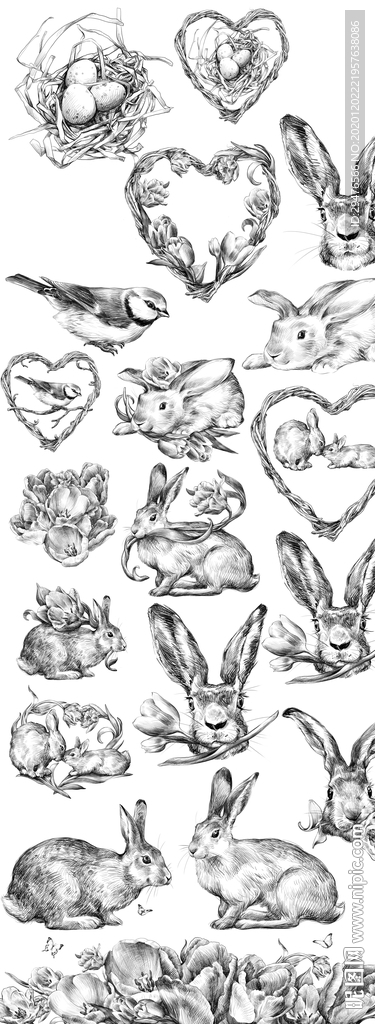 兔子素描手绘