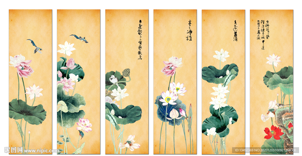 国画荷花
