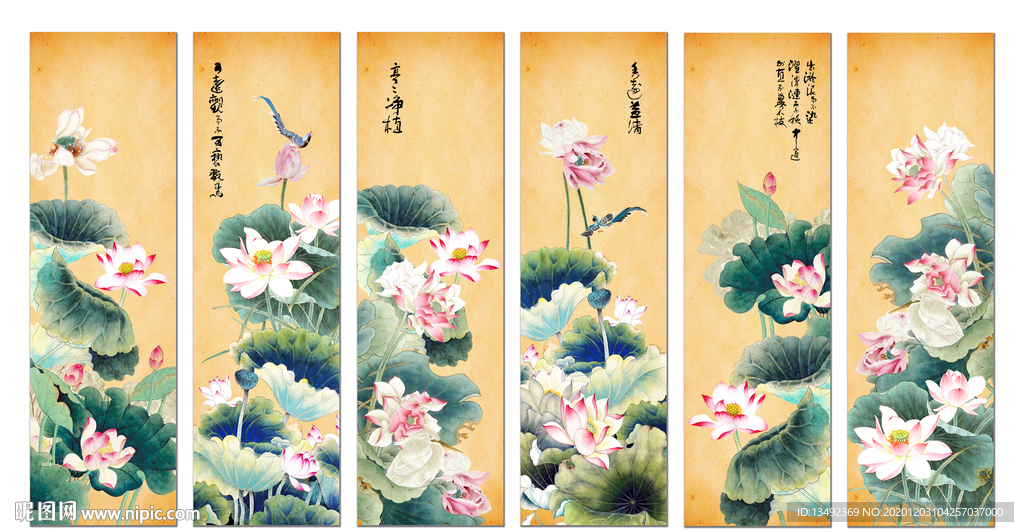 国画荷花
