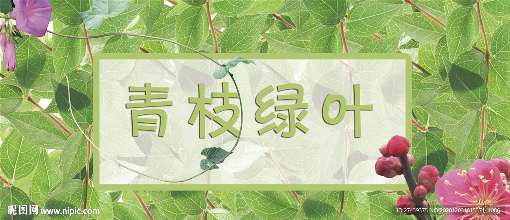 青枝绿叶