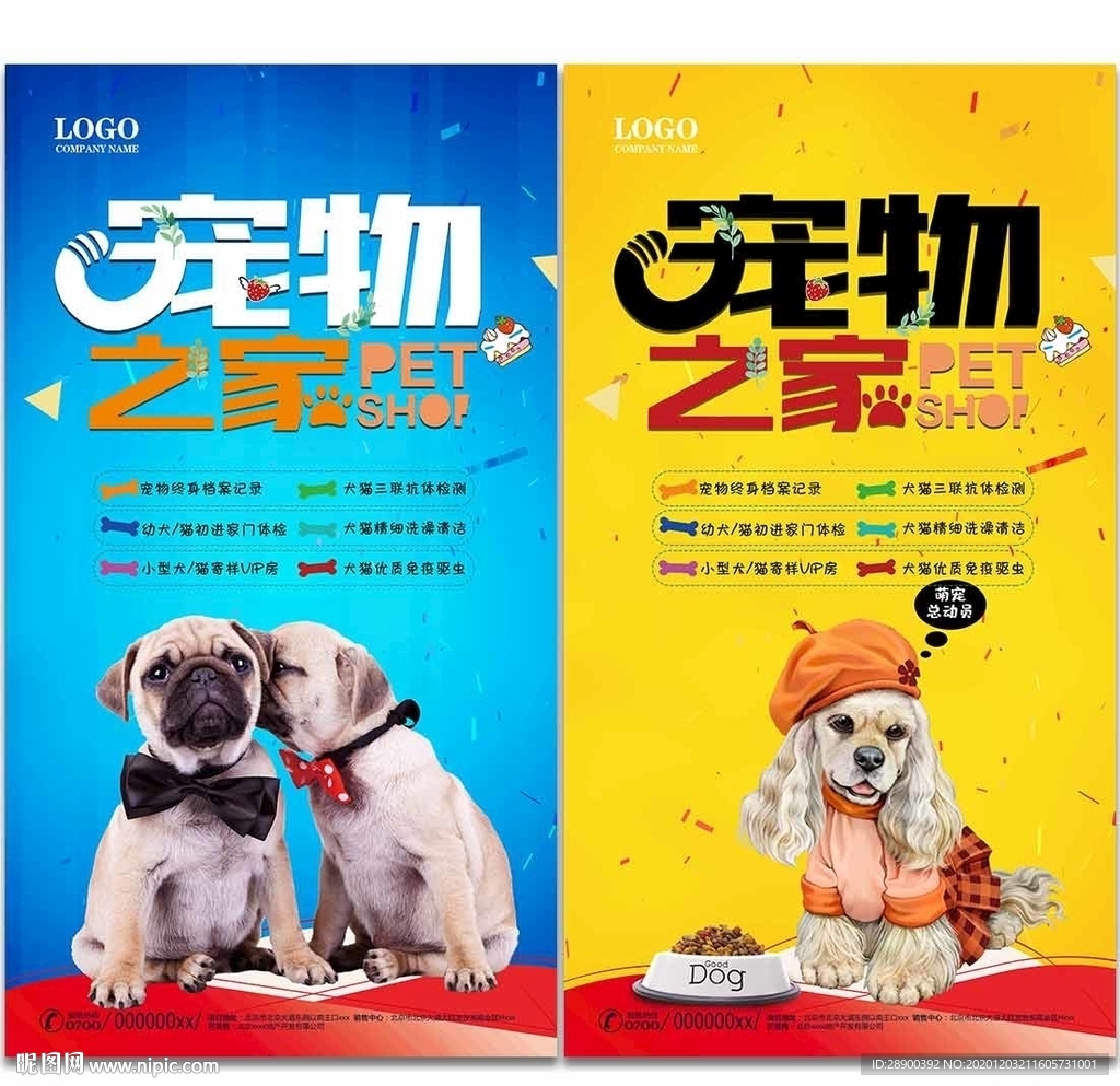 宠物