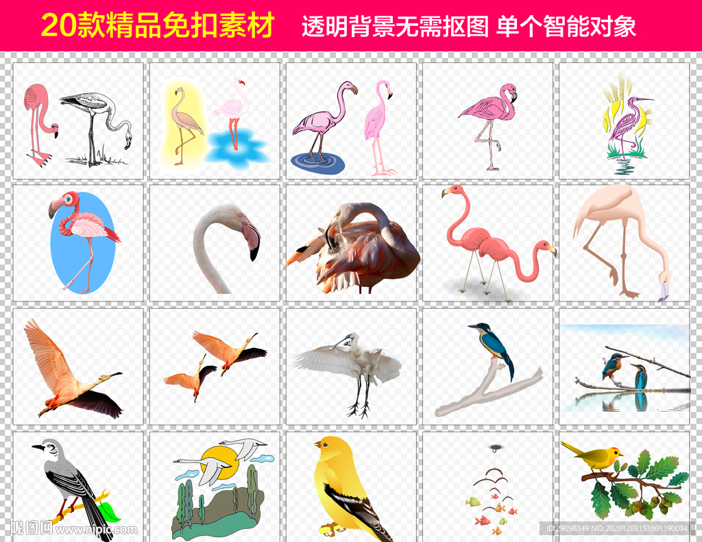 飞禽免抠素材