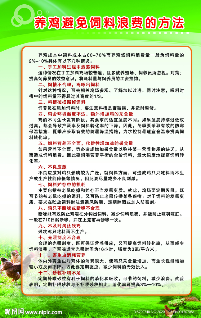 养鸡避免饲料浪费的方法