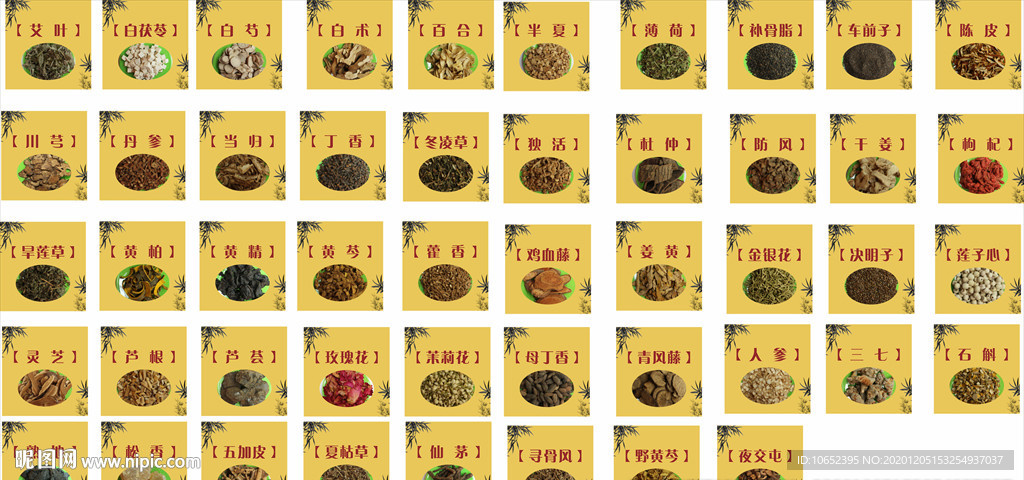 中药材品名